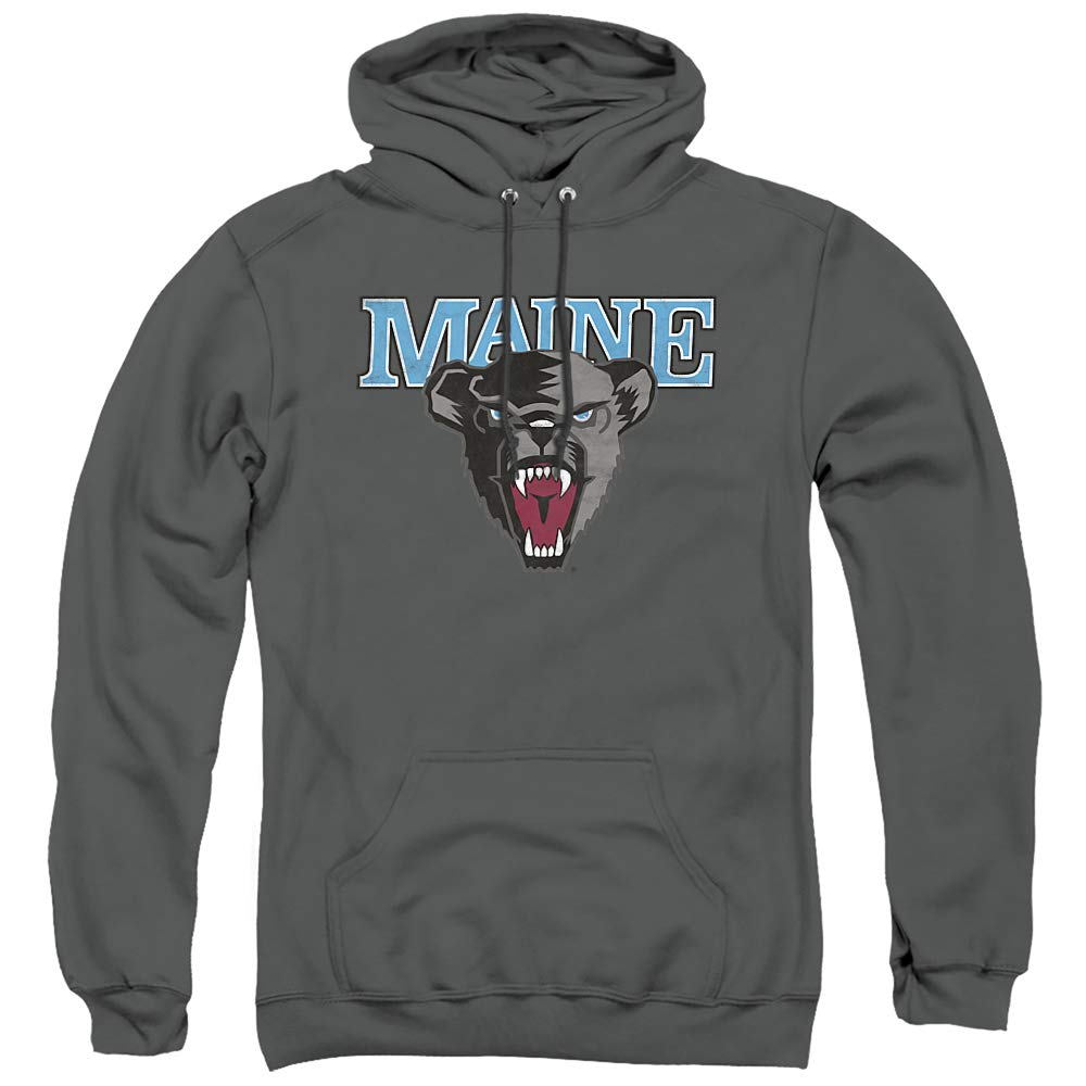 LOGOVISION Official Collegiate Distressed Primary Logo Adult Pullover Hoodie Collection — view 522