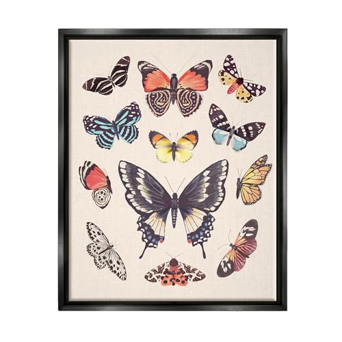 Stupell Industries Cottage Moths & Butterflies Framed Floater Canvas Wall Art by Diane Neukirch