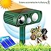 Solar Katzenschreck,Ultraschall Tiervertreiber Katzenabwehr,Wasserdicht Marderschreck mit PIR-Bewegungssensor Katzenschreck für Garten,Wirksam Gegen Katzen,Hunde,Marder,und Vögel Schädlineg(Grün)
