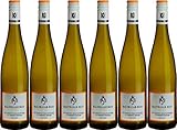 hattenheim wetter WEINART: Weißwein Trocken, Jahrgang 2018 im 6er Paket