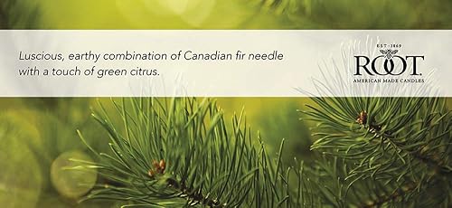 Miniatura 3 de Root Candles velas aromáticas de cera de abeja
