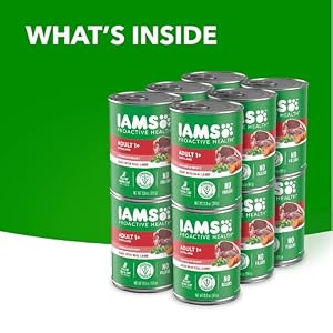 Iams Proactive Health Wet Dog Food, Lamb Chunks in Gravy, 13 oz., Pack of 12 Iams Proactive Health Wet Dog Food, Lamb Chunks in Gravy, 13 oz., Pack of 12