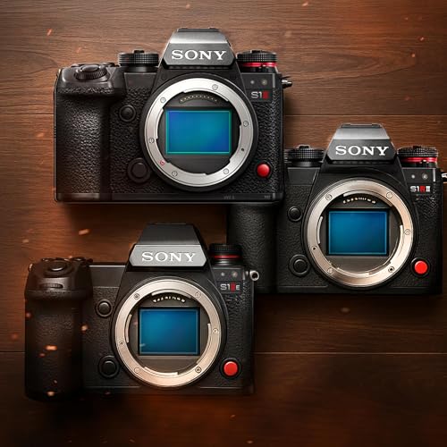 Lumix Did What Sony Won't cover art