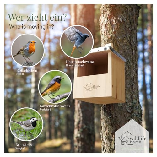 WILDLIFE HOME Vogel Nistkasten für Rotkehlchen, Zaunkönig & Halbhöhlenbrüter mit Metalldach I nach NABU aus verschraubtem Massiv-Holz I Wetterfest & Unbehandelt I Vogelhaus