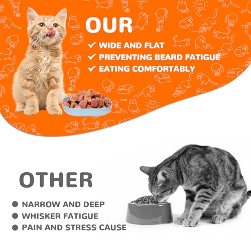 Zikenis 10 Stück Katzennapf,Katzennapf Flach,Katzenschüssel,Bunt Katzenfutter Napfset,Runden Katzenteller,Fressnapf Katze,Cat Plate für Kätzchen und Kurzbeinige Katzen
