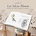 Lang&Co Juego de libros decorativos A5 Imagen de Lang&Co Juego de libros decorativos A5