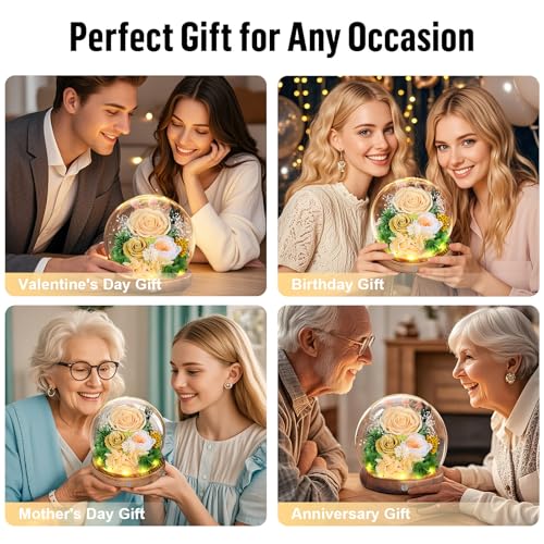 Preserved Roses in Glass Dome with LED Light - Long Lasting Real Roses, Forever Flowers for Delivery, Mothers Gifts for Her, Mom, Wife Anniversary Birthday Gifts for Women, Champagne - Image 7