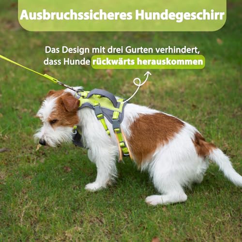 Huntboo Sicherheitsgeschirr Hund Ausbruchsicher, Panikgeschirr für Hunde, Reflektierendes Geschirr Hund mit Griff, Verstellbare Hundegeschirr für kleine, mittelgroße und große Hunde (Hellgrün,XS)