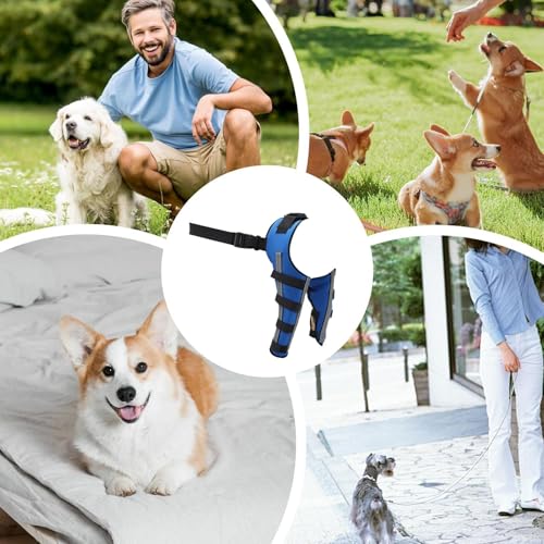 Rückenbandage für Hunde, Rückenstütze für Hunde | Hüftstütze von Pet Hock, tragbarer Wundschutz für Haustiere zur Erholung von Kleintieren