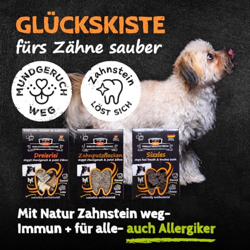 QCHEFS Glückskiste NAPF für Hunde, Schleck Napf + Aufbewahrung Box für Zahnpflege Leckerlie mit Starterset Zahnpflege bei Mundgeruch und als Zahnsteinentferner