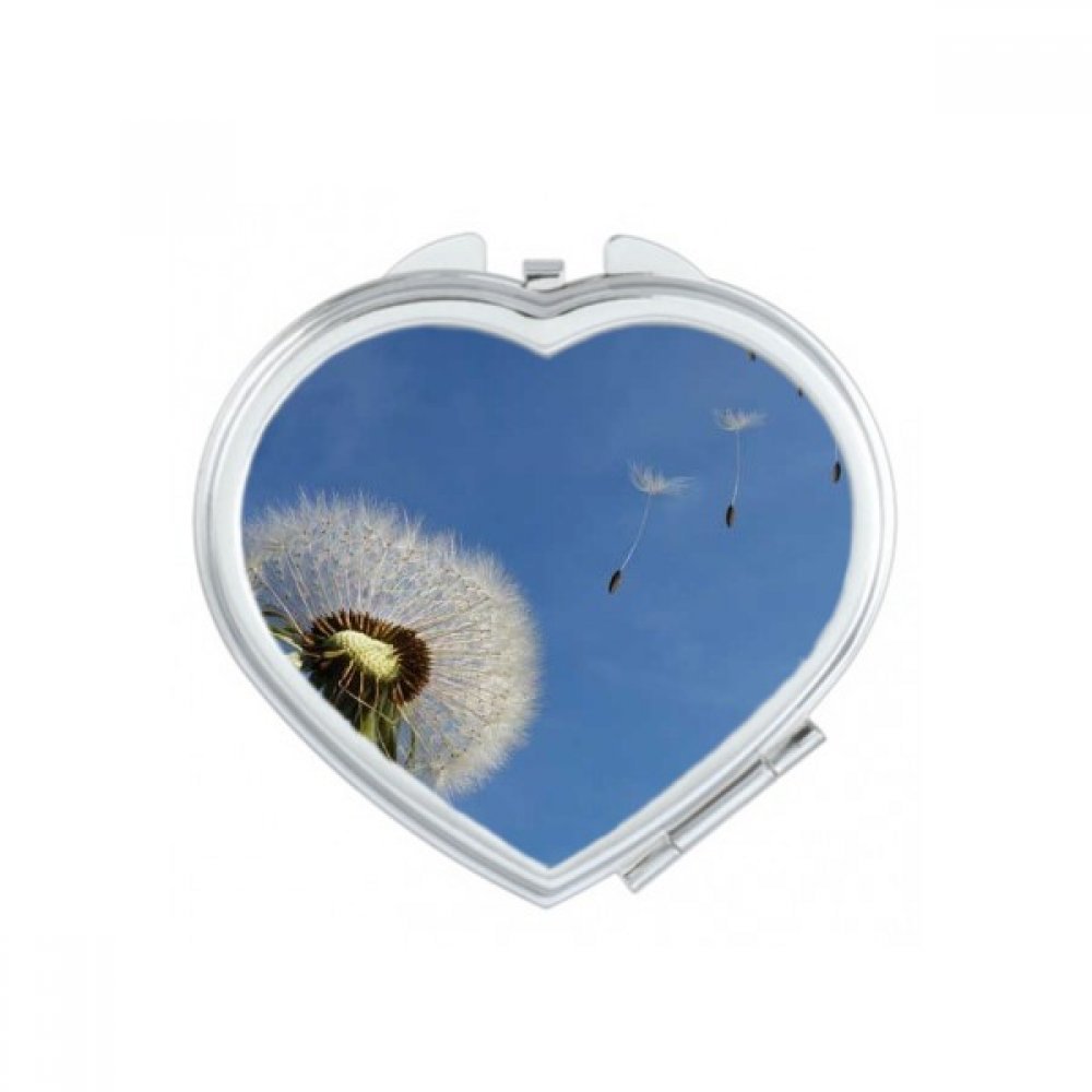 Miroir de poche compact fleurs roses un mignon petit cadeau portable à la main pour femme