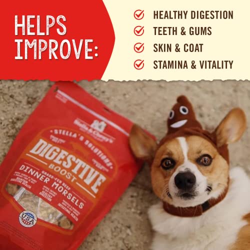 Stella & Chewy’s – Stella’s Options Digestive Increase – Grass-Fed Beef Dinner Morsels – Freeze-Dried Uncooked, Protein Wealthy, Grain Free Canine Meals – 13 oz Bag Stella & Chewy’s – Stella’s Options Digestive Increase – Grass-Fed Beef Dinner Morsels – Freeze-Dried Uncooked, Protein Wealthy, Grain Free Canine Meals – 13 oz Bag