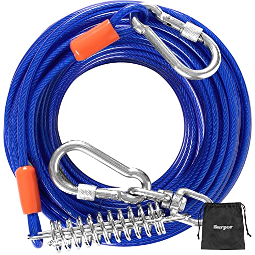 Unleash the Power of Durability A Guide to the Top 10 Heavy Duty Dog