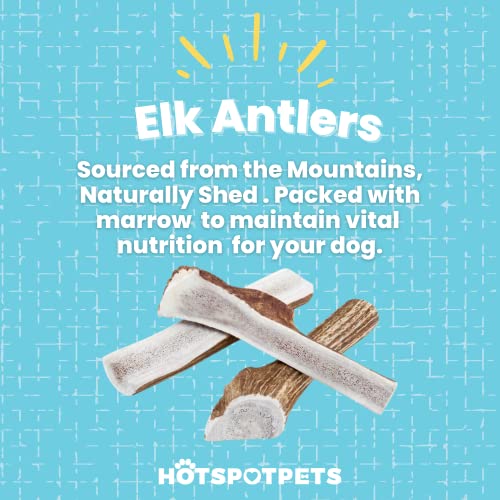 hotspot pets Premium Split Elk Antlers for Dogs - 7 Inch Large Dog Chews (2 Pack) Naturally Shed Bone for Large Breed Aggressive Chewers - Made in USA - Promotes Dental Hygiene - Thumbnail 7
