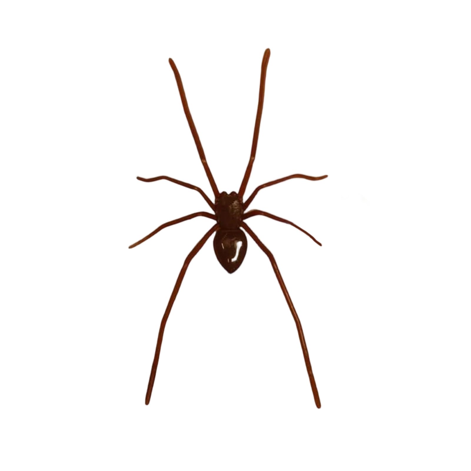 3D Spider Fridge Magnet Realistic Scary Halloween Decoration