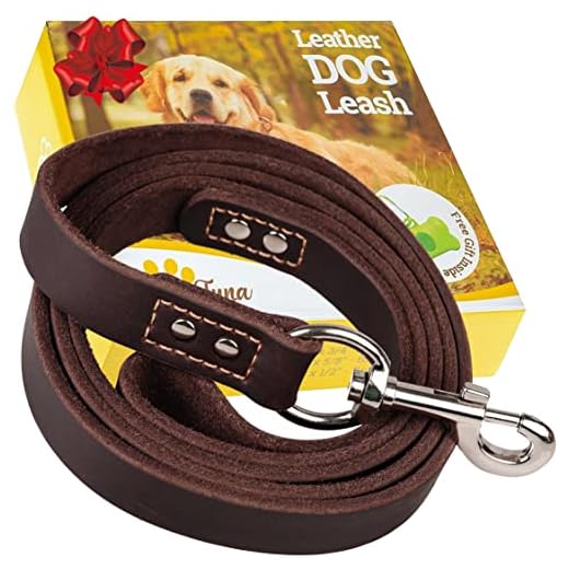 ADITYNA Leather Dog Leash 6 Foot x 3/4 inch - Soft and Strong Leather Leash for Large and Medium Dogs - Dog Training Leash (Brown)