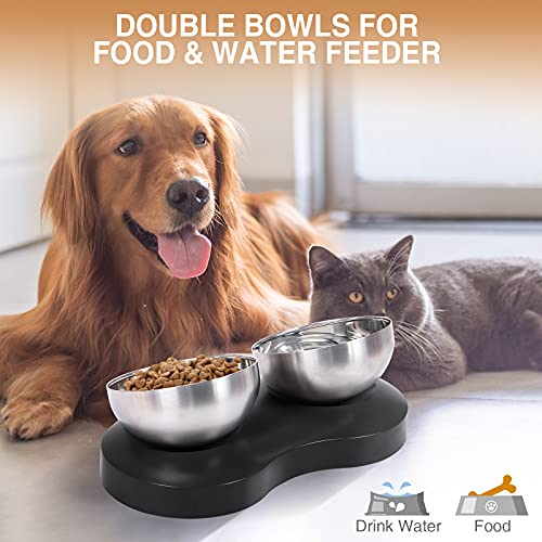 Cat Bowls 20°Tilted Stainless Steel Cat Food Bowl with Raised Stand