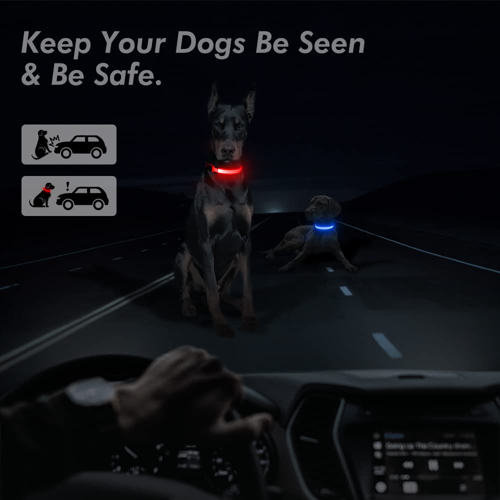 BSEEN Collare per cani che si illumina, collare per cani a LED ricaricabile, impermeabile, riflettente, con luci natalizie che si illuminano al buio, per passeggiate notturne (rosso rubino, M)