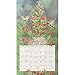 Lang 2017 Hummingbirds Wall Calendar, 13.375 x 24 inches (17991001918)