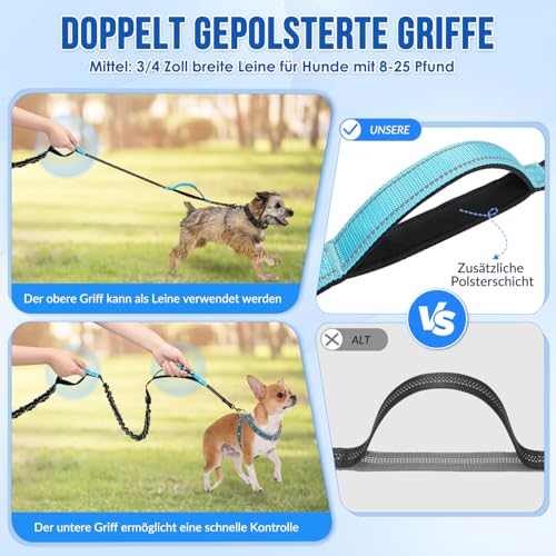 Eyein Joggingleine mit Bauchgurt für kleine und mittelgroße Hunde, verstellbar Freihandleine mit Reflektierend Elastisch Laufleine und Dual Griffe zum Joggen und Walken, M für einen Hund