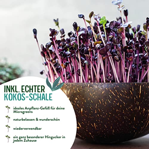 valeaf BIO Microgreens Anzuchtset I Starter Kit zur Sprossen Samen Anzucht I Microgreens Anzucht Sprossensamen I Sprossen Set zum Sprossen selber Züchten I Mikrogrün Samen