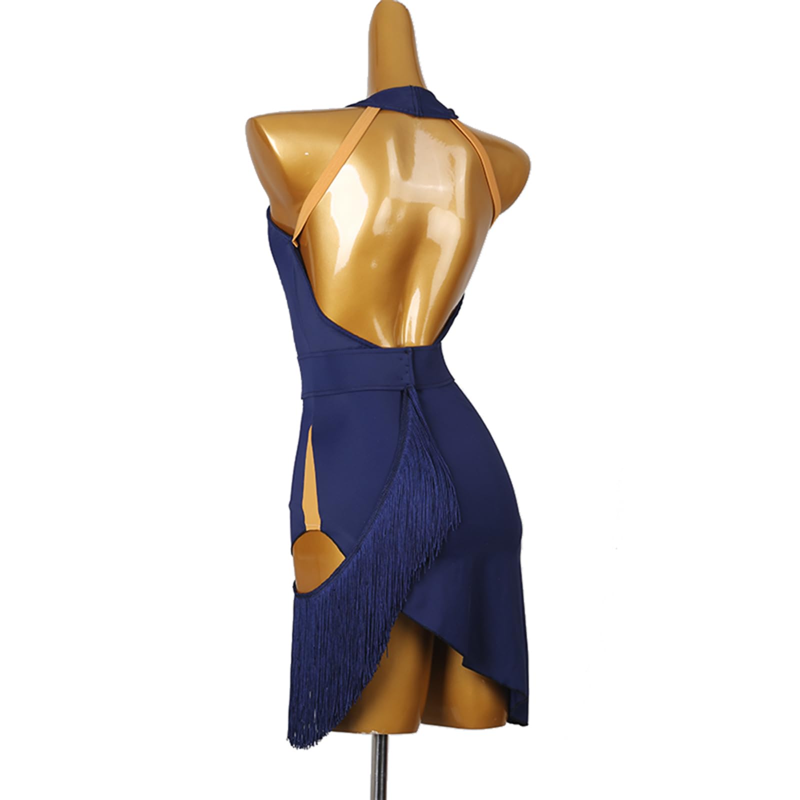 Damen Lateinrock Ballsaal Tanzkleid Hängender Hals Schöne Rücken Quasten Praxis Kleidung Tanzrock Rumba Samba Cha Cha Tanzkleidung
