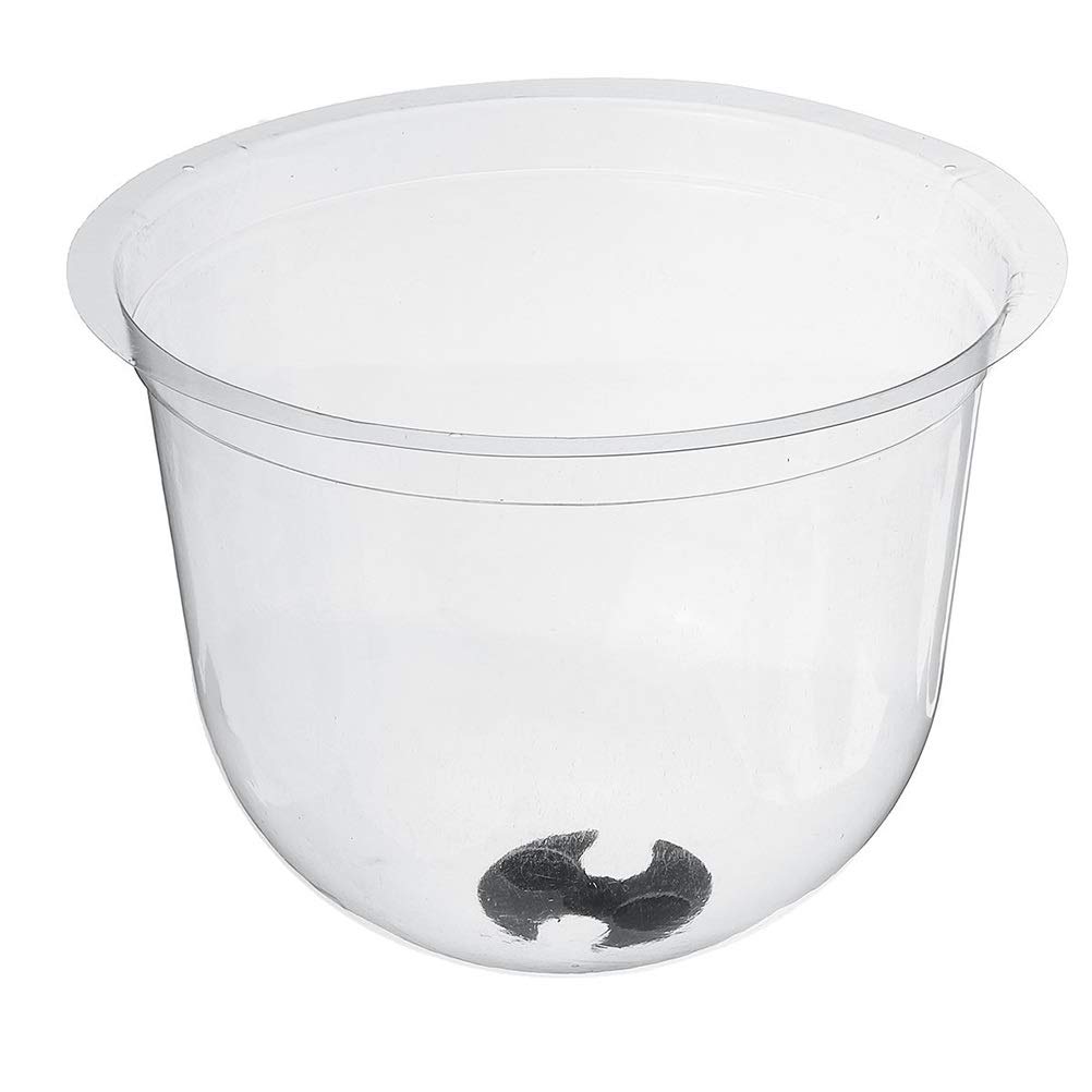 Lot de 6 dômes de protection réutilisables en forme de cloche en plastique pour le froid et le réchauffement du sol de jardin et des plantes en croissance, transparent