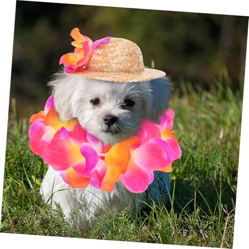 Disfraz hawaiano para perros con sombrero de flores miniatura 5