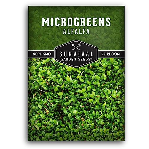 Alfalfa Microgreens Seeds for Sprouting - Non-GMO Heirloom Alfalfa Sprout Seeds for Microgreens, Hydroponic, & Indoor Growing - Survival Garden Seeds (1 Pack)