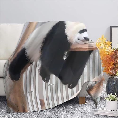 Plaid microfibre panda 3D jeté de salon inaltérable haute densité 150x200cm