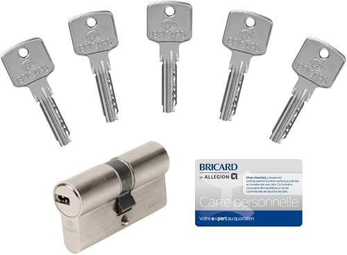 serrure à clé 15105 CYLINDRE A6, 30+30 Débrayable 5 Clés Bricard