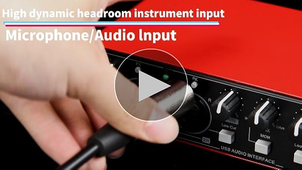 Amazon.com: Depusheng RED USB Audio Interface for Recording