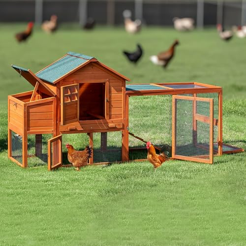 Image of Large Chicken Coop Outdoor Durable Duck House Poultry Pet Hutch & 2 Wood Eggs Run Cage Nesting Box Waterproof Asphalt Roof Ramp Removable Tray Wire Fence for Backyard Small Animal (Orange)