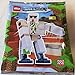 LEGO Minecraft: Iron Golem Minifig