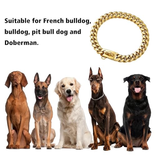 Cuban Dog Collar, Edelstahl Hundehalsband, 14 mm Breite, Hunde Halsband Kette, 26/31/36/41/46/51/56/61 cm Längen, Gold Halskette Halsband Kette für Welpen, kleine, mittelgroße Hunde