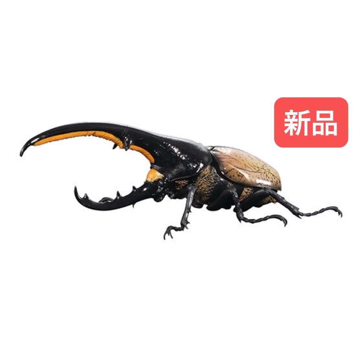 Amazon.co.jp: Hercules Hercules Hercules Big Encyclopedia