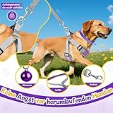 3 Stück Hundegeschirr und Leine Set, Verstellbares Brustgeschirr, Reflektierendes atmungsaktives Hundegeschirr mit D-Ring, Hundegeschirrs Set für Welpen, Kleine Hunde