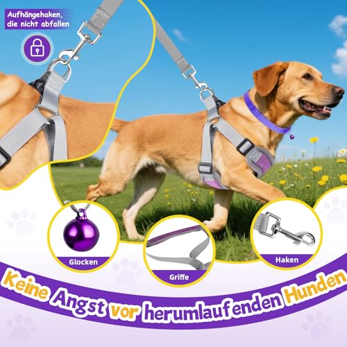 3 Stück Hundegeschirr und Leine Set, Verstellbares Brustgeschirr, Reflektierendes atmungsaktives Hundegeschirr mit D-Ring, Hundegeschirrs Set für Welpen, Kleine Hunde