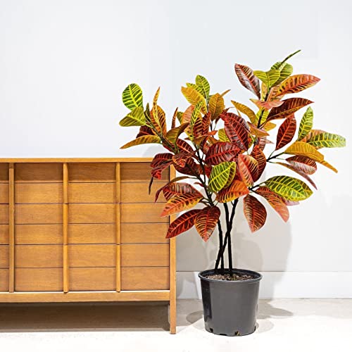 Artificial Croton Plant Stems Tropical Leaf Branches Lifelike Fake Tree Twig Houseplant Bush For Home Office Garden Decoration - 37.5 Inch (Orange/Red - Pack Of 2Pcs) #TOP3