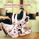 Zoom IMG-2 kimiss triceratops resin model del Zoom IMG-2 kimiss triceratops resin model del