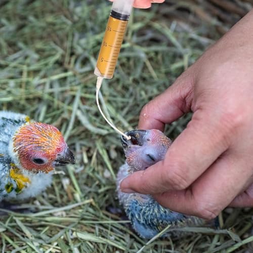 Vogelfutterspritzen-Set, 3 Stück, Baby-Vogel-Spritze, Futterspender mit Papageien-Futterröhre und Löffel, Messspritzen-Werkzeuge zum Füttern von Kleintieren, Kätzchen, Welpen (10ML 20ML 60ML B)