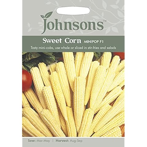 Johnsons Sweet Corn Minipop F1 Seeds Cover
