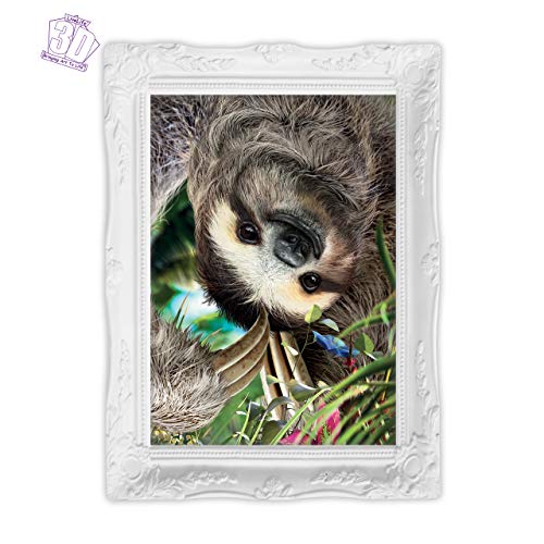 3D Livelife Lenticular Wall Art Prints - Hangin' Around From Deluxebase. Unframed 3D Sloth Poster. Perfect Wall Decor. Original Artwork Licensed From Renowned Artist, David Penfound #TOP4