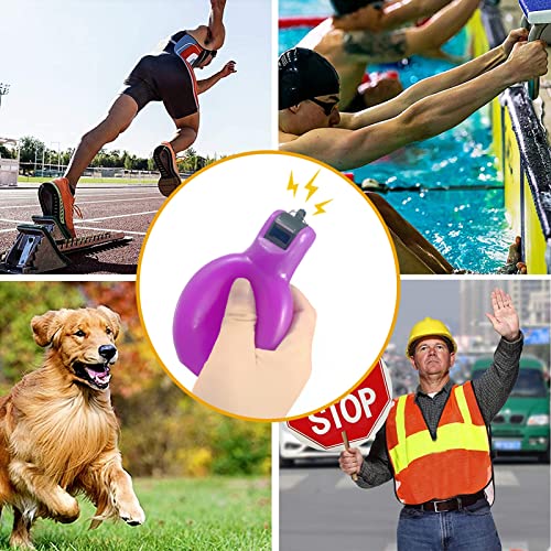 Dingfeiyu 1 Stück Handpfeife mit 1 Stück Edelstahl-Sportpfeifen, Trillerpfeife für Trainer, Schiedsrichter, Sportlehrer, Hundetrainer, Trillerpfeife Laut Notfall, Trainer Zubehör Fußball (violett)