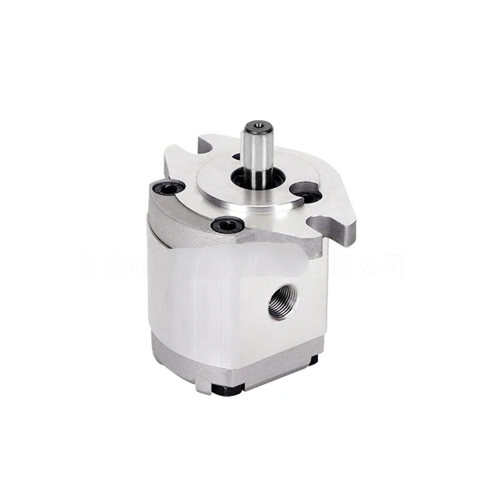 Pompa ad Ingranaggi idraulica ad Alta Pressione HGP-1A Pompa per Olio Idraulico in Alluminio pressofuso Pompe ad Ingranaggi (HGP-1A-F0.5R)