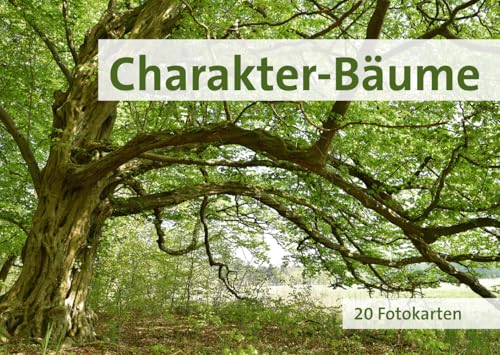 Charakter-Bäume: 20 Fotokarten