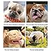 ILEPARK Bozal para Perros de Hocico Corto, Bozal de Bulldog Anti-Mordiscos y...