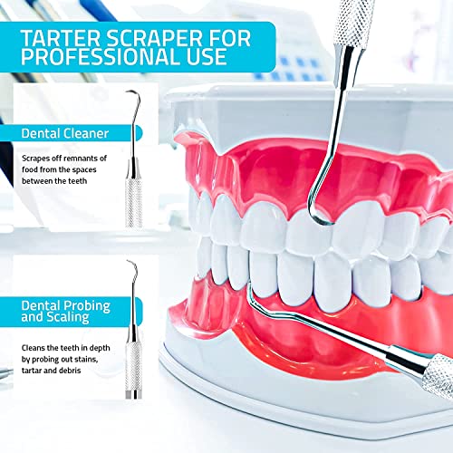 Image of Utopia Care Dental Tartar Scraper Tool, Plaque Remover for Teeth Pack of 2 | Professional Dental Pick, 6.5-Inch Double-Ended Tartar Remover for Teeth, Home Use Tooth Scraper