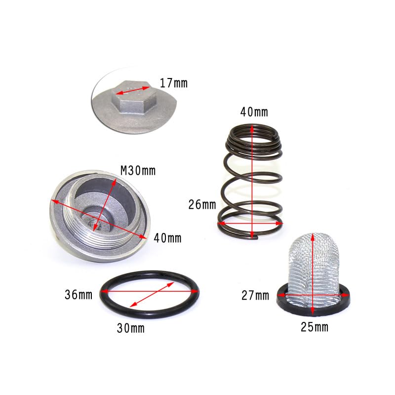 Kit Completo Vite Scarico Olio E Filtro Per Motore GY6 50-150cc – Con O-ring E Molla, Compatibile Con Scooter Cinesi