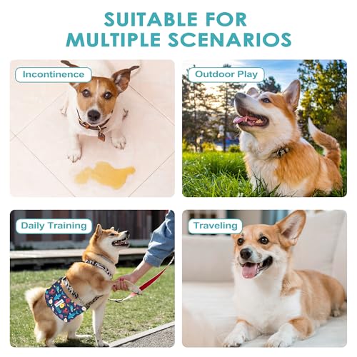 Image of 5 Pack Dog Diapers Male Reusable Belly Bands Washable for Medium Male Dogs, High Absorbency for Puppy & Doggy, Size M
